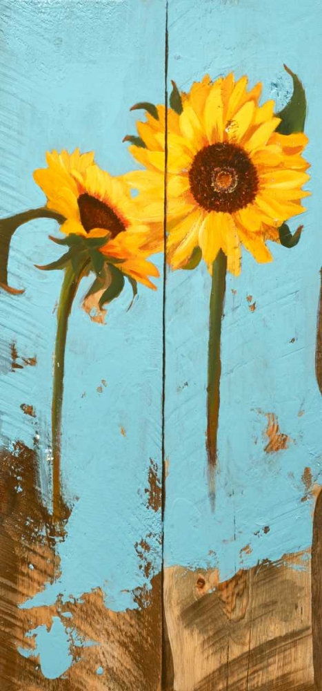 Wall Art Painting id:147831, Name: Sunflowers on Wood III, Artist: Iafrate, Sandra