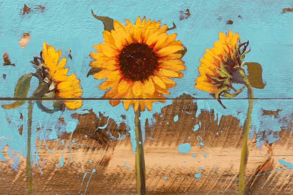 Wall Art Painting id:147832, Name: Sunflowers on Wood IV, Artist: Iafrate, Sandra
