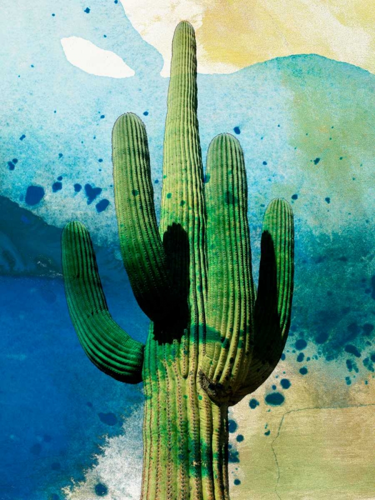 Wall Art Painting id:148081, Name: Cactus Abstract, Artist: Jasper, Sisa