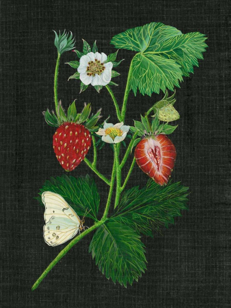 Wall Art Painting id:148285, Name: Strawberry Fields I, Artist: Wang, Melissa