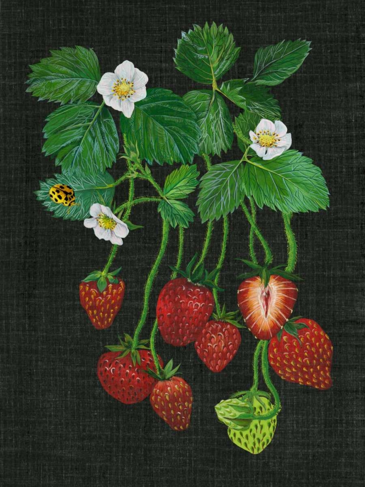 Wall Art Painting id:148286, Name: Strawberry Fields II, Artist: Wang, Melissa