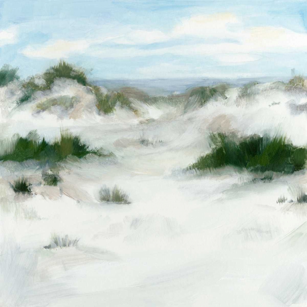Wall Art Painting id:148332, Name: White Sands II, Artist: Meagher, Megan