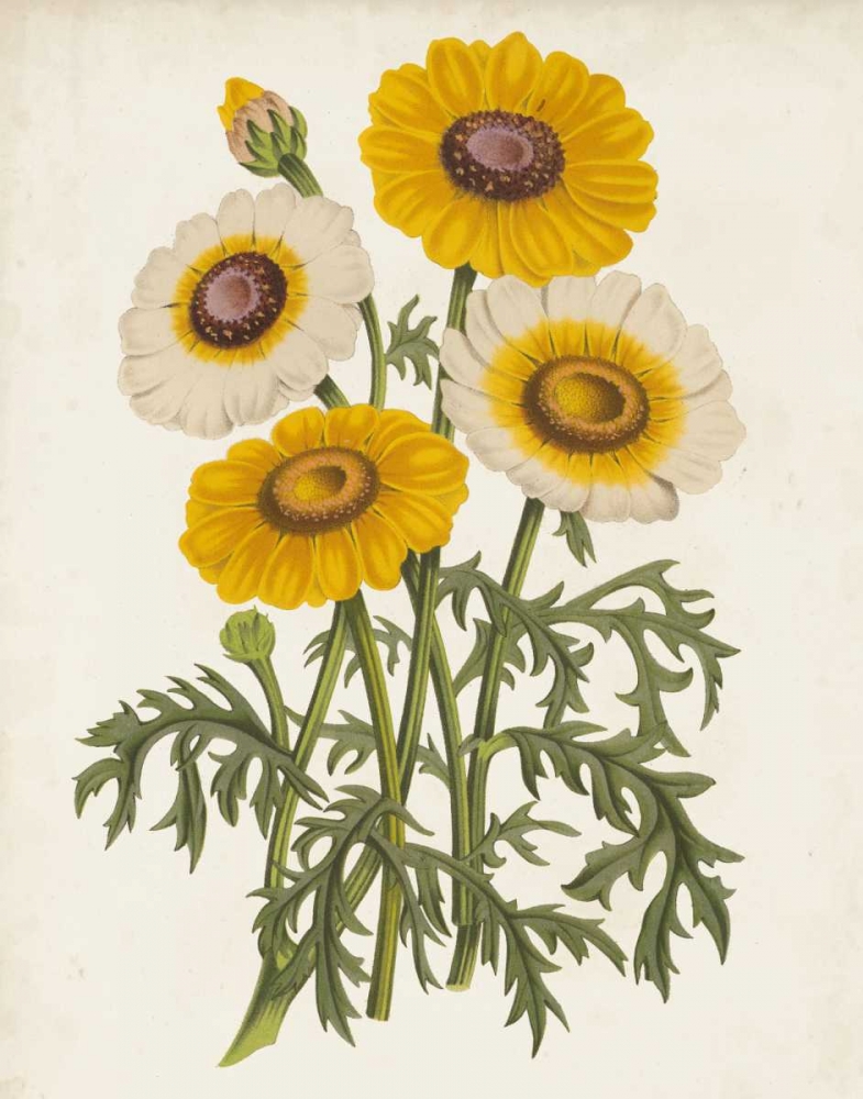 Similar wall art painting: 155206