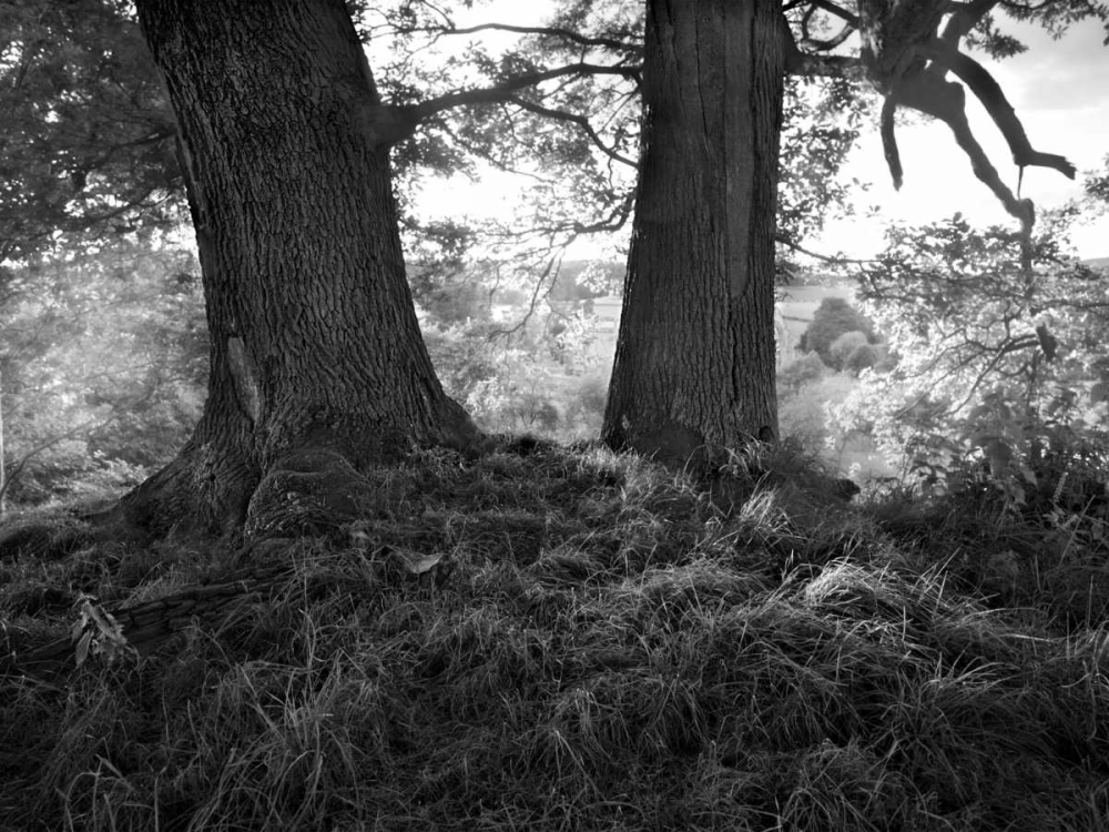 Similar wall art painting: 38045