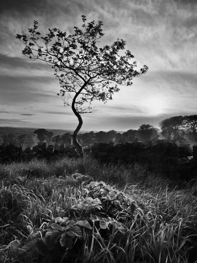 Similar wall art painting: 38052