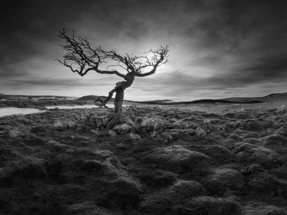 Similar wall art painting: 38055