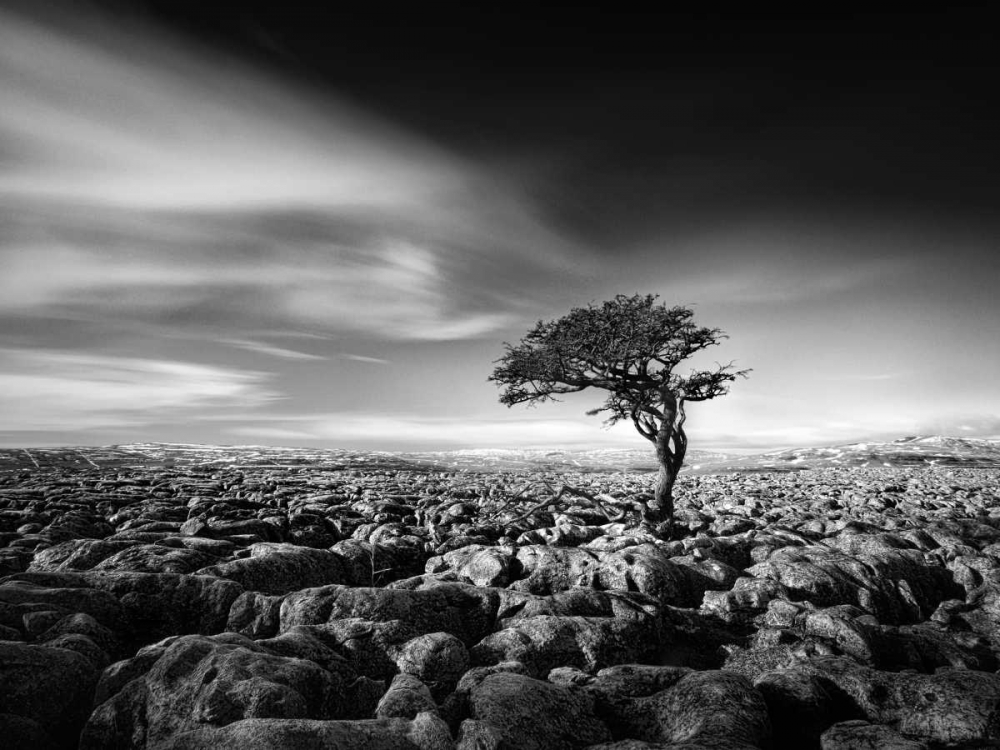 Similar wall art painting: 38057