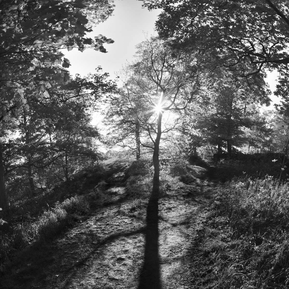 Similar wall art painting: 38059