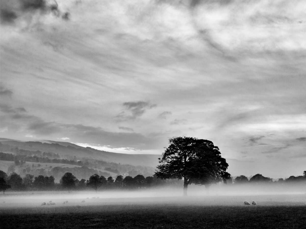 Similar wall art painting: 38064