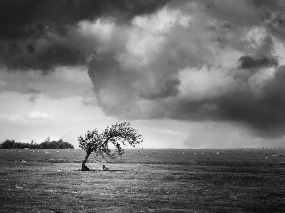 Similar wall art painting: 38065