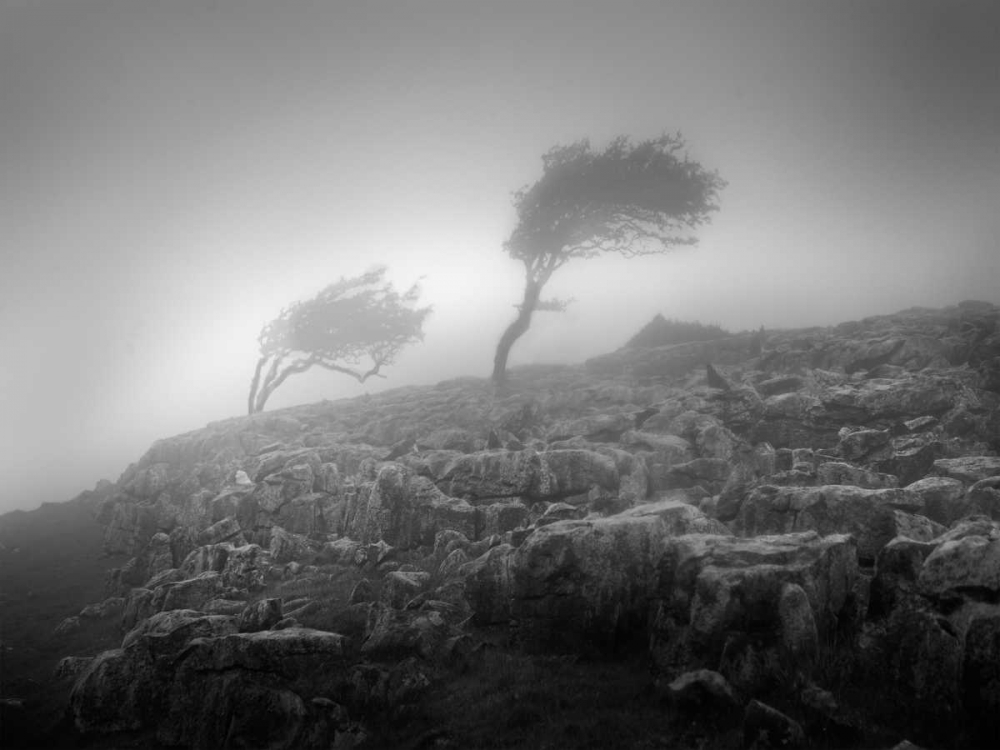 Similar wall art painting: 38066