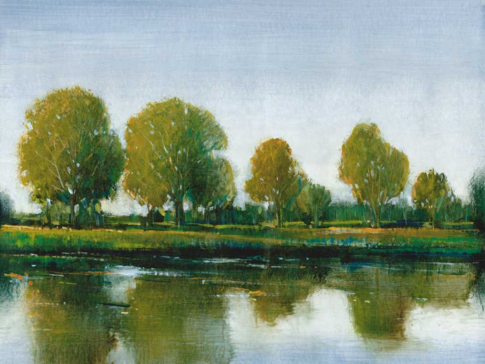 Wall Art Painting id:38125, Name: River Reflections II, Artist: OToole, Tim