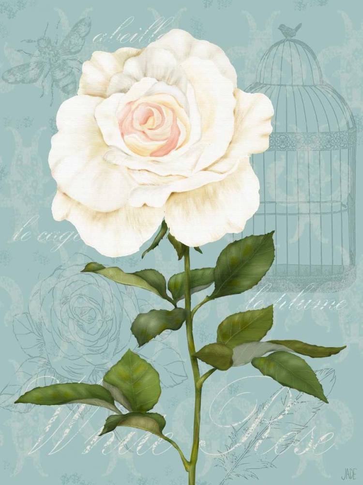 Wall Art Painting id:50820, Name: Cream Rose I, Artist: Reynolds, Jade