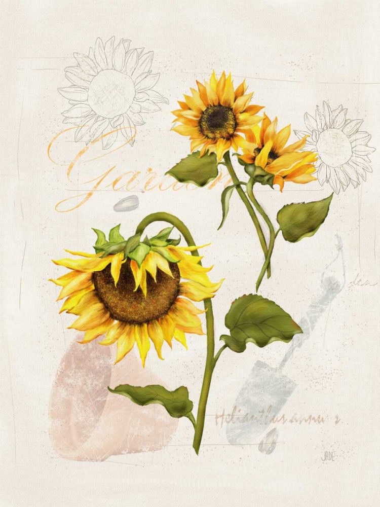 Wall Art Painting id:50836, Name: Romantic Sunflower I, Artist: Reynolds, Jade