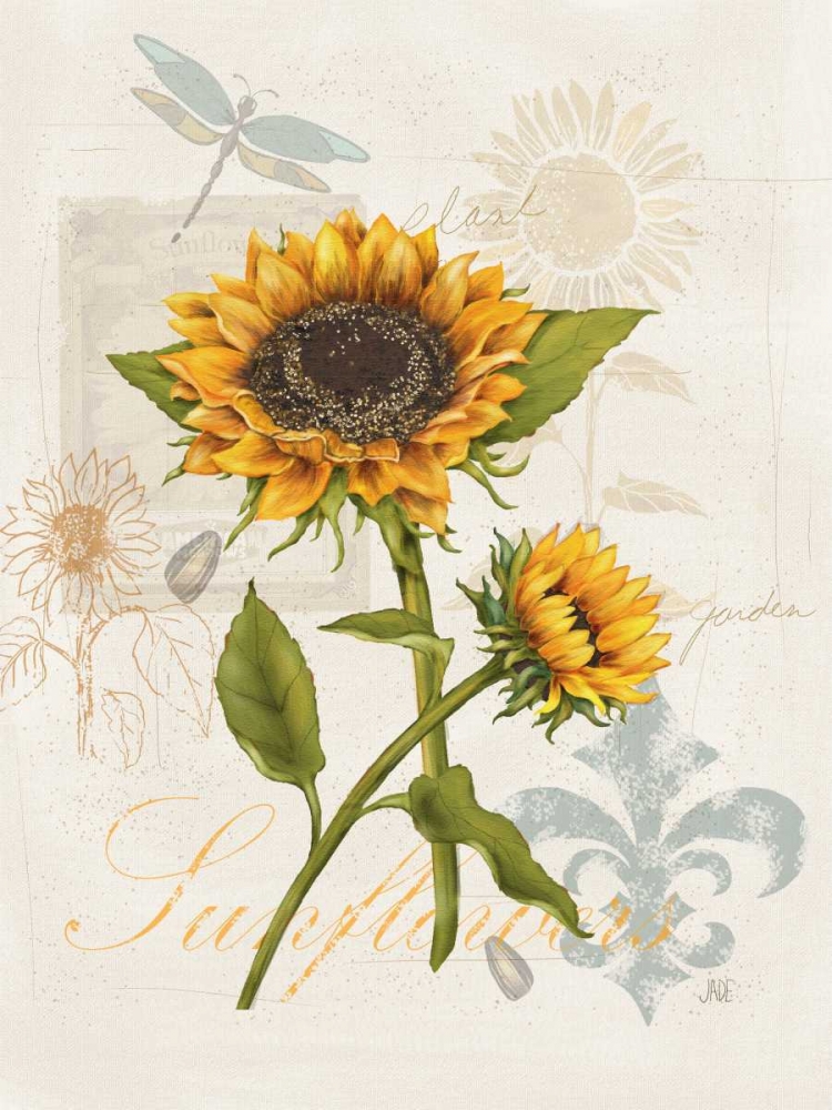 Wall Art Painting id:50837, Name: Romantic Sunflower II, Artist: Reynolds, Jade