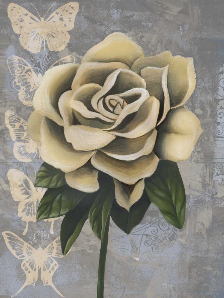 Wall Art Painting id:68192, Name: Blissful Gardenia II, Artist: Popp, Grace