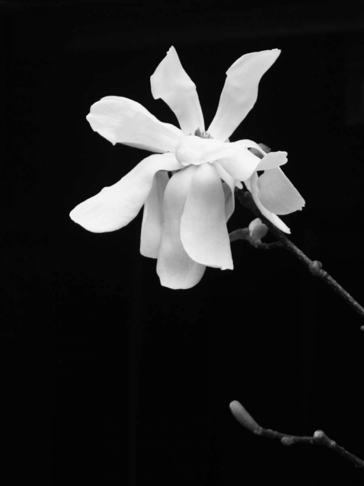 Similar wall art painting: 68235