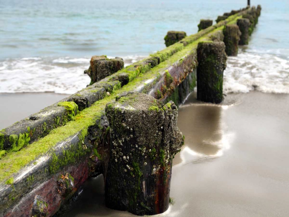 Similar wall art painting: 155004