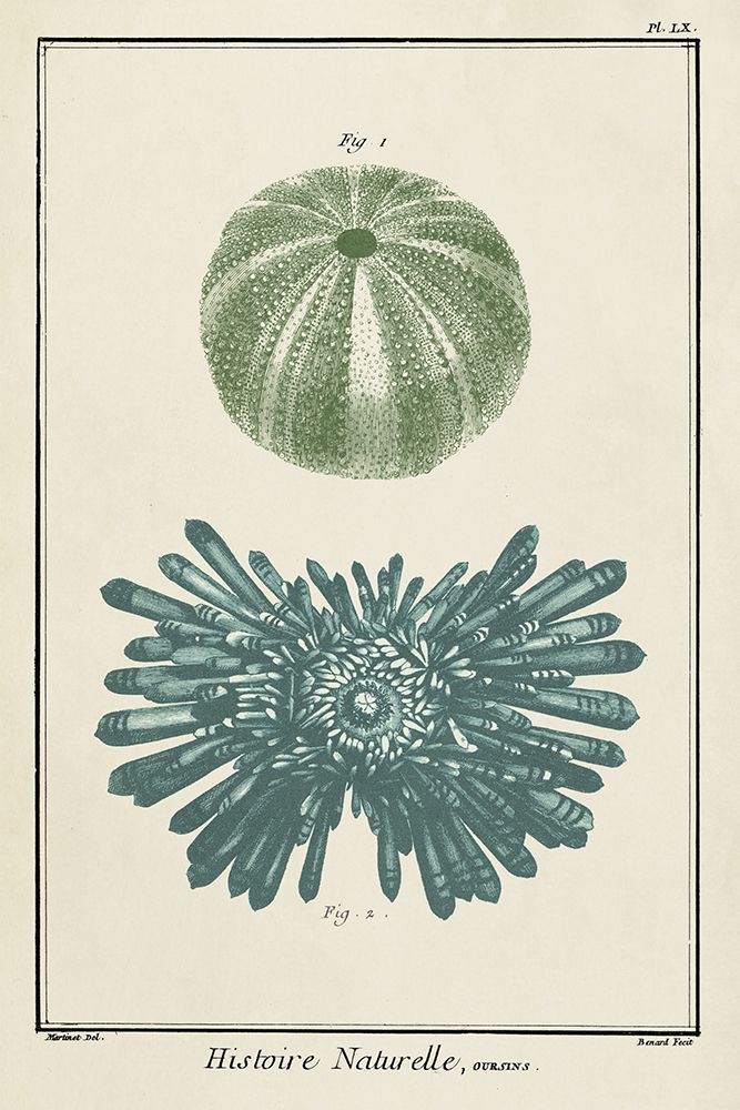 Art Print: Custom Ocean Oddity III
