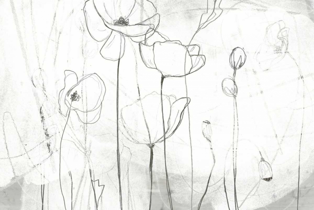 Wall Art Painting id:155495, Name: Poppy Sketches I, Artist: Vess, June Erica