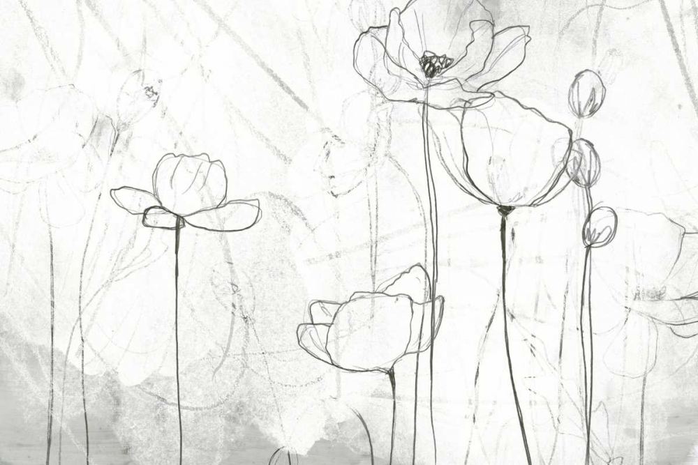 Wall Art Painting id:155496, Name: Poppy Sketches II, Artist: Vess, June Erica