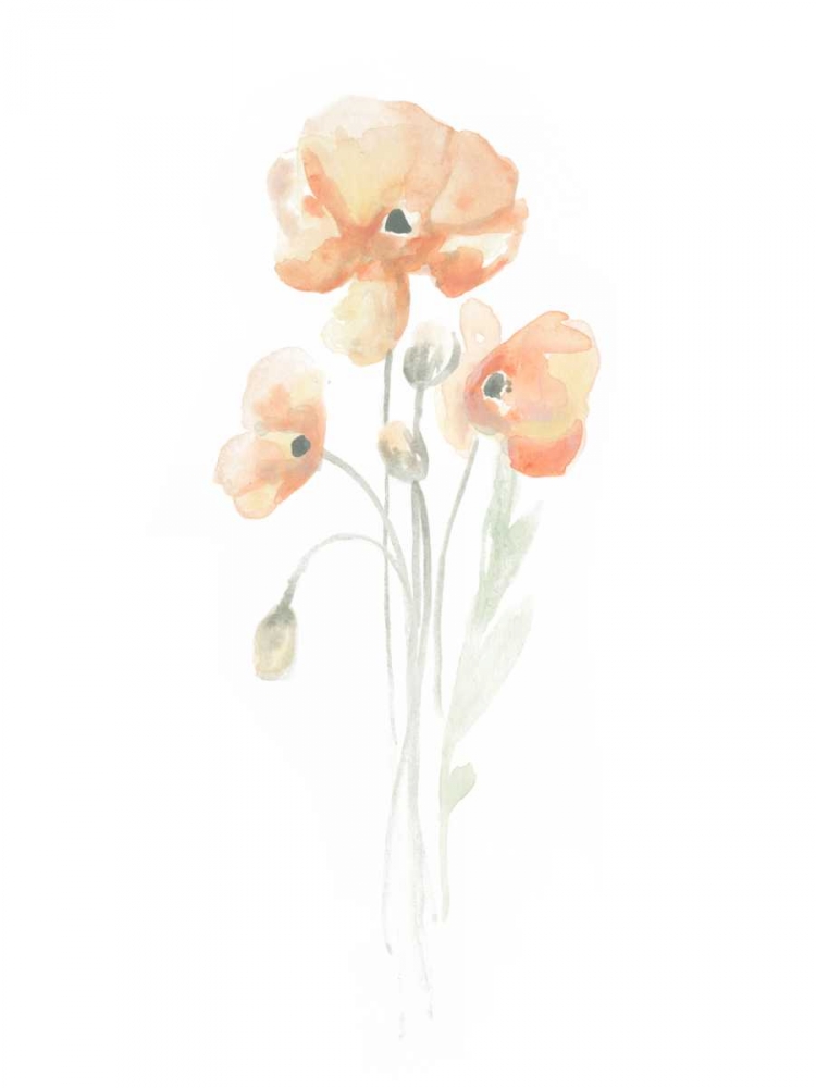 Wall Art Painting id:155485, Name: Delicate Bouquet I, Artist: Vess, June Erica