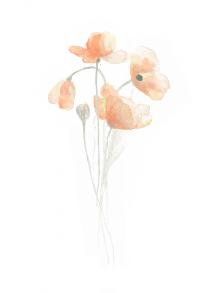 Wall Art Painting id:155487, Name: Delicate Bouquet III, Artist: Vess, June Erica