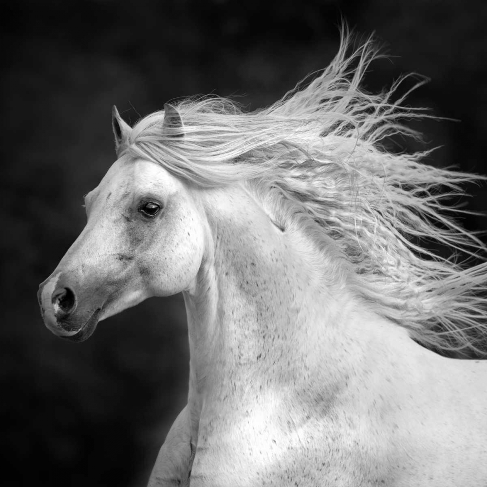 Similar wall art painting: 164744