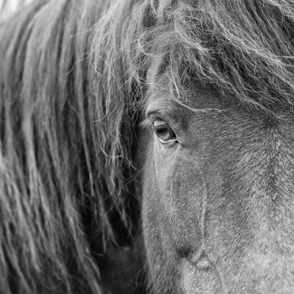 Similar wall art painting: 164746