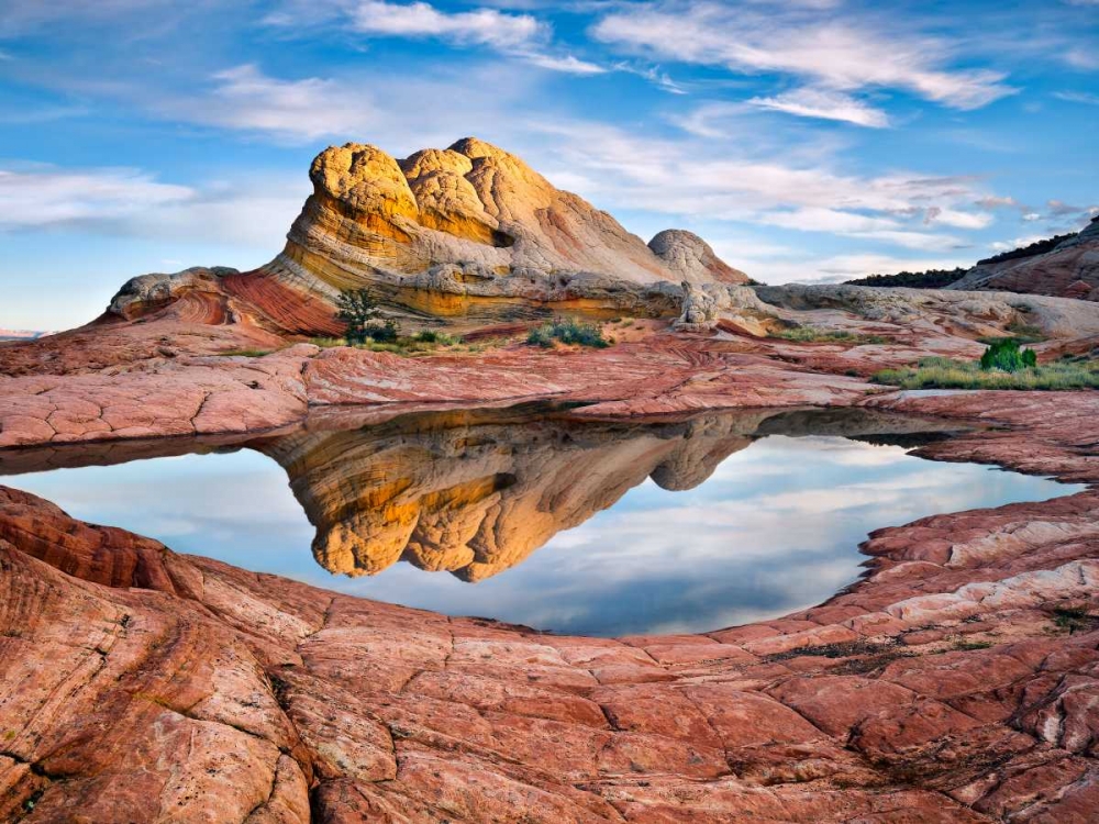 Similar wall art painting: 164877