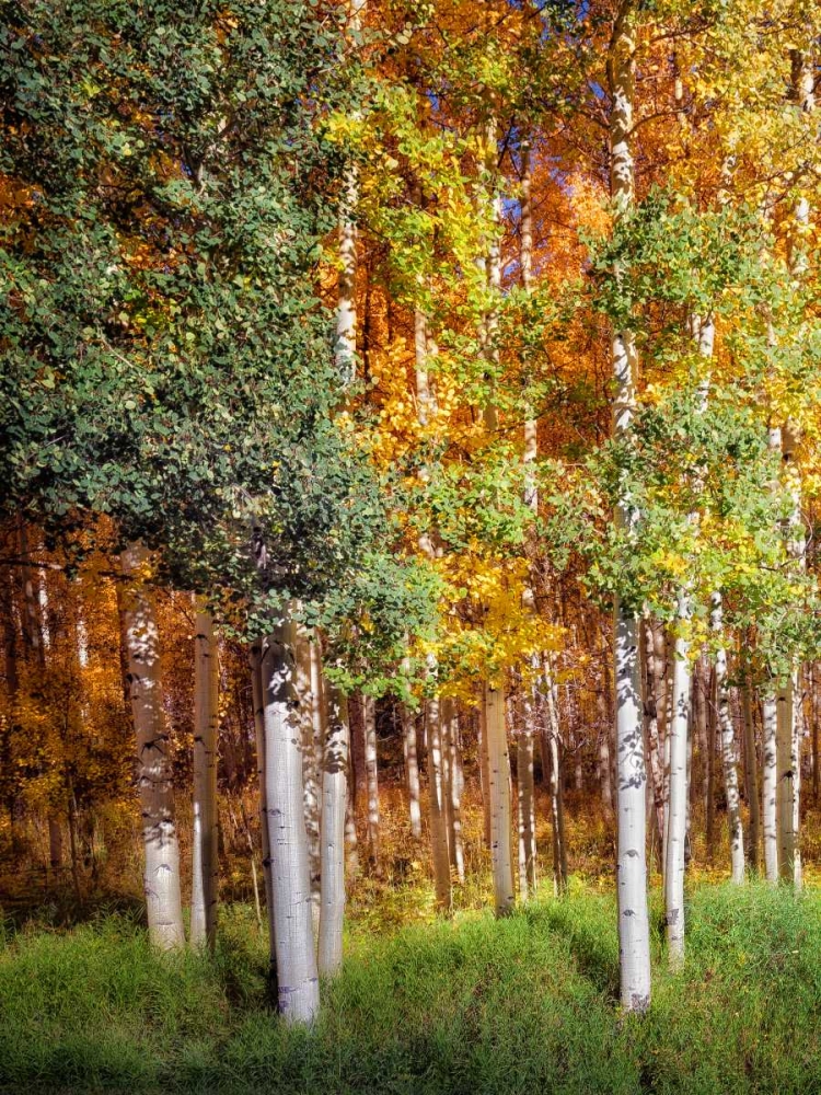 Similar wall art painting: 164887