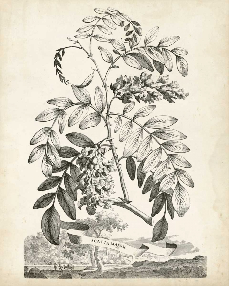 Similar wall art painting: 163324