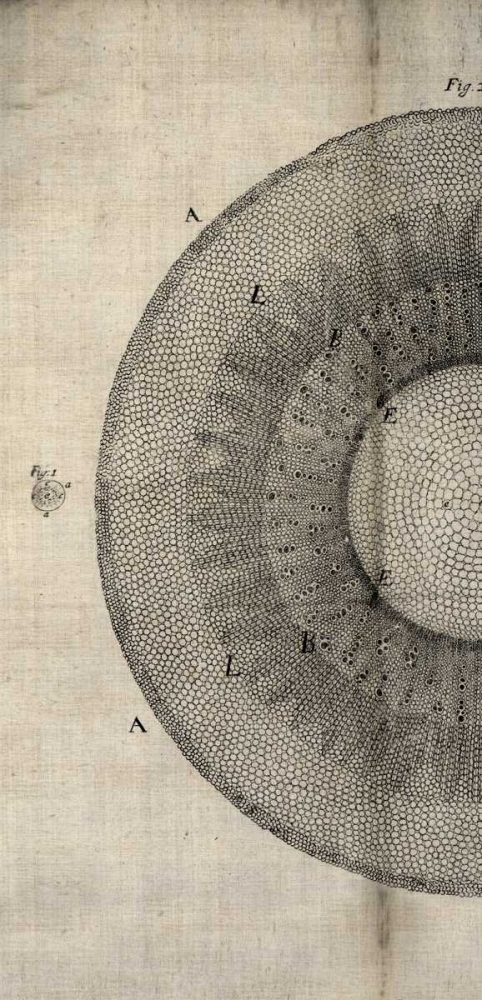 Similar wall art painting: 53445