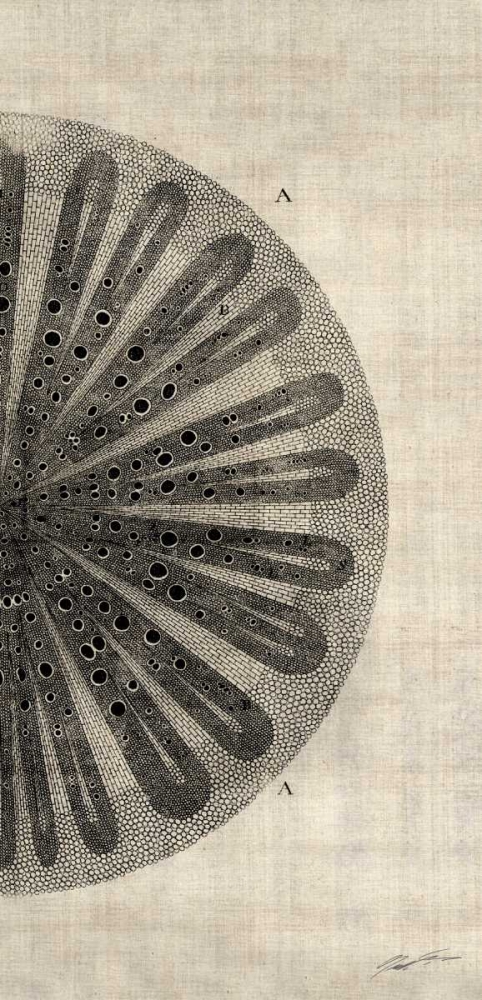 Similar wall art painting: 53448