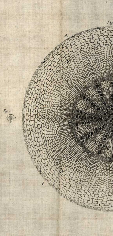 Similar wall art painting: 53449