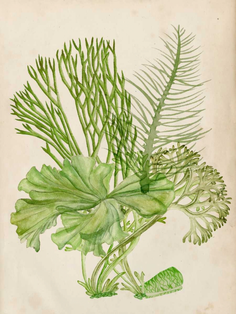 Similar wall art painting: 165287