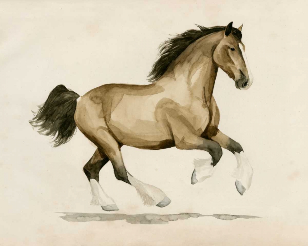 Wall Art Painting id:165432, Name: Clydesdale I, Artist: Popp, Grace