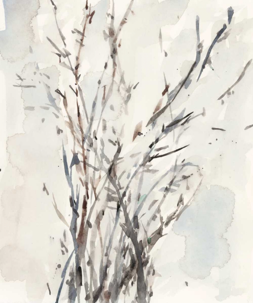 Wall Art Painting id:182732, Name: Watercolor Branches I, Artist: Dixon, Samuel