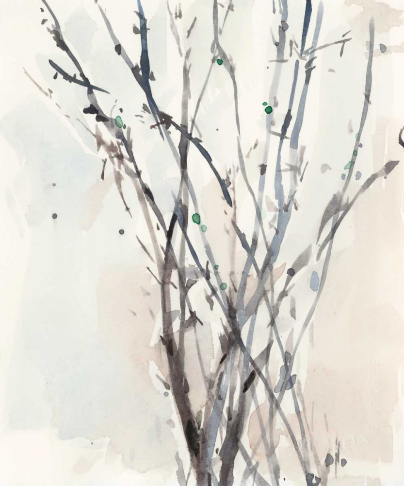 Wall Art Painting id:182733, Name: Watercolor Branches II, Artist: Dixon, Samuel