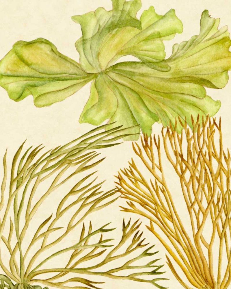 Similar wall art painting: 182876