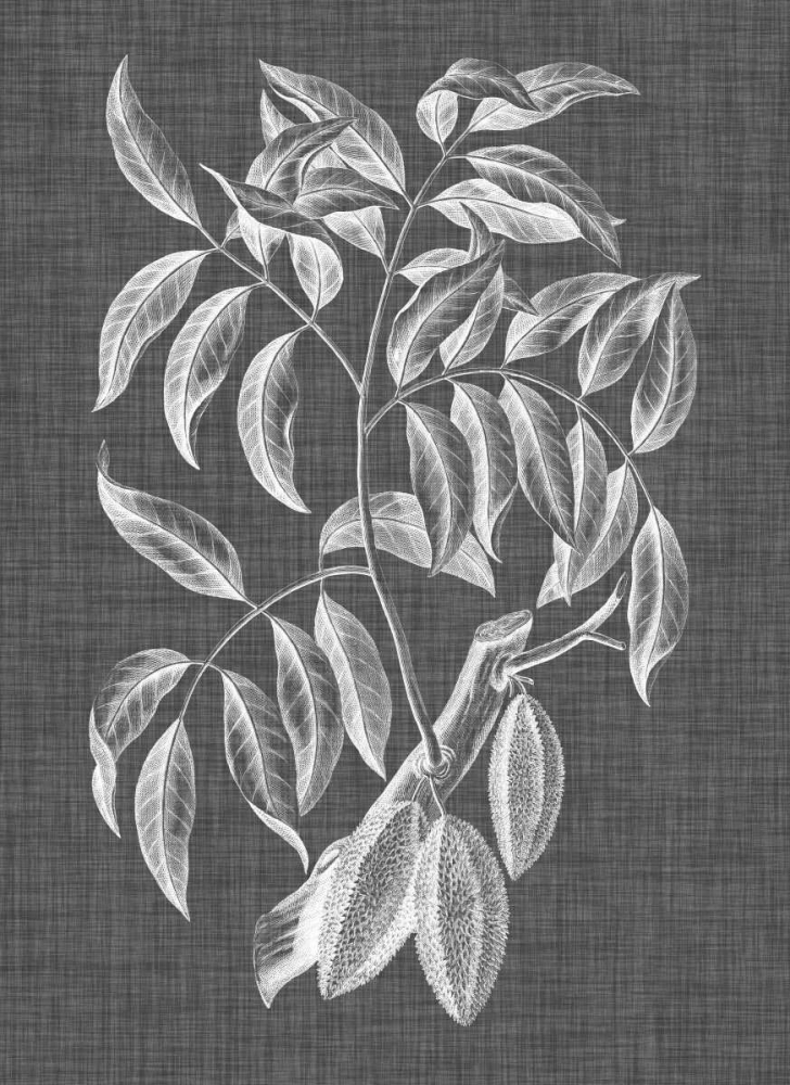 Wall Art Painting id:172296, Name: Graphic Foliage III, Artist: Vision Studio