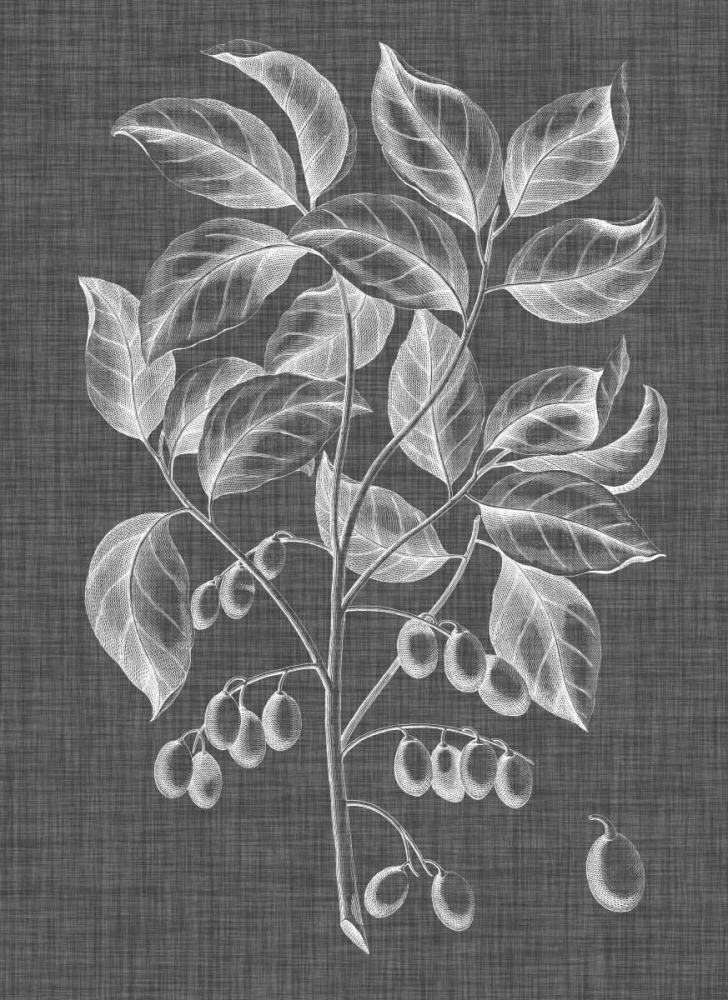 Wall Art Painting id:172298, Name: Graphic Foliage V, Artist: Vision Studio