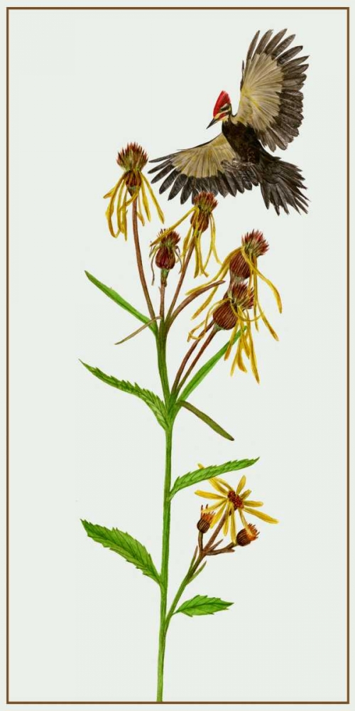 Similar wall art painting: 183487