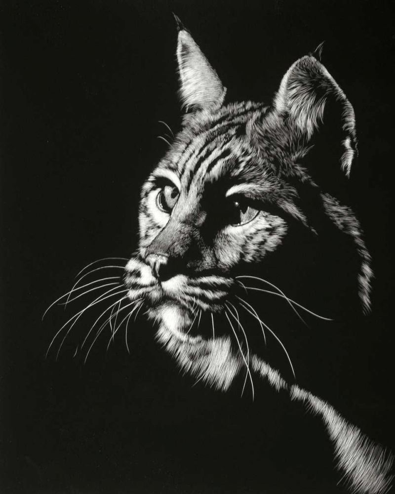 Similar wall art painting: 183600