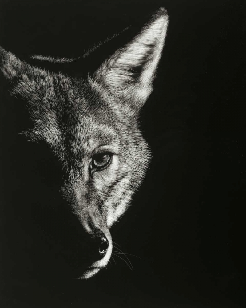 Similar wall art painting: 183604