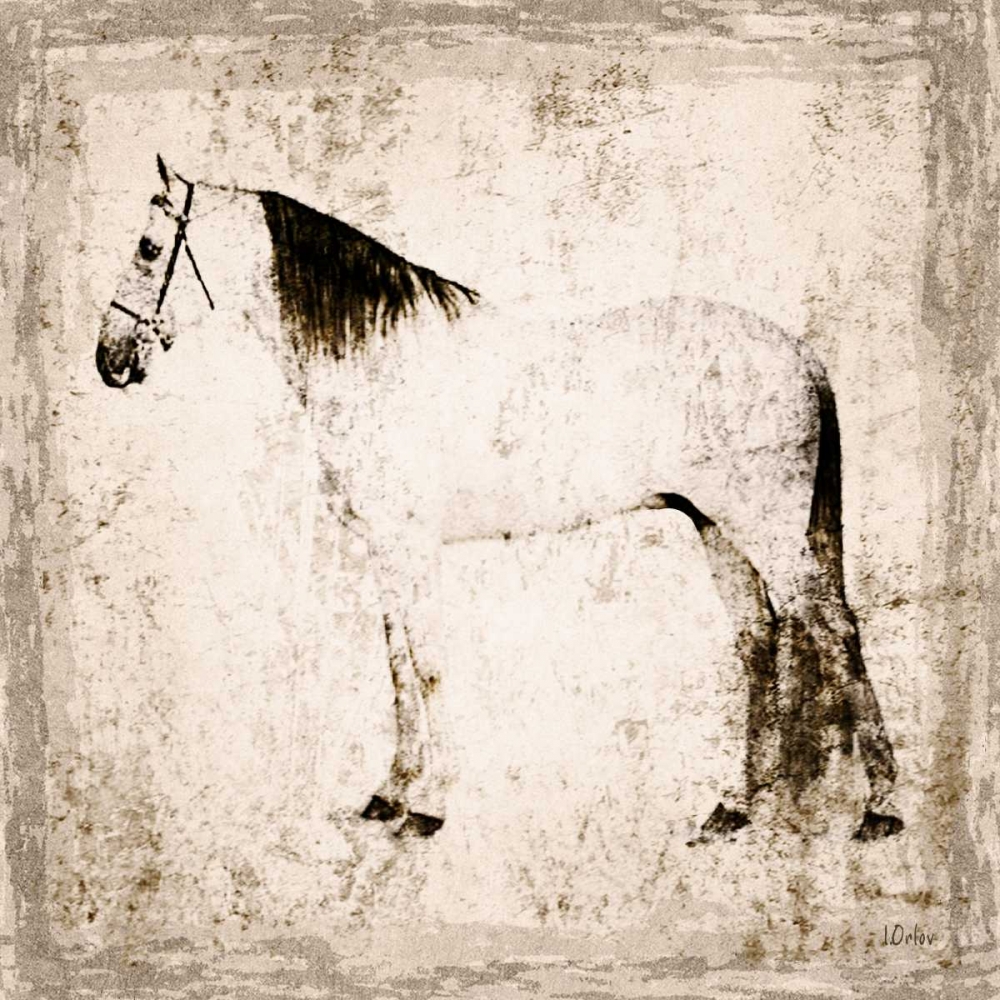Wall Art Painting id:183868, Name: White Horse II, Artist: Orlov, Irena