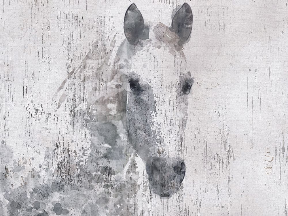 Wall Art Painting id:196042, Name: Dapple Horse I, Artist: Orlov, Irena