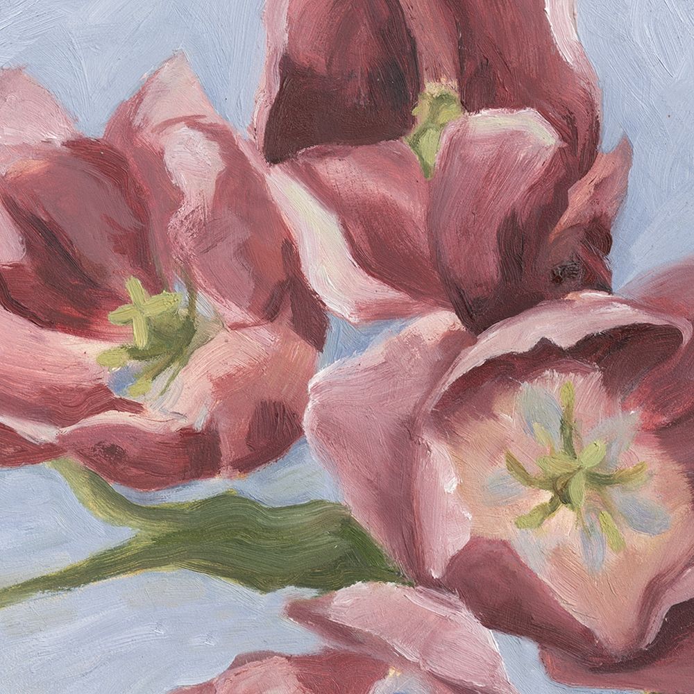 Wall Art Painting id:196081, Name: Mauve Tulips II, Artist: Scarvey, Emma