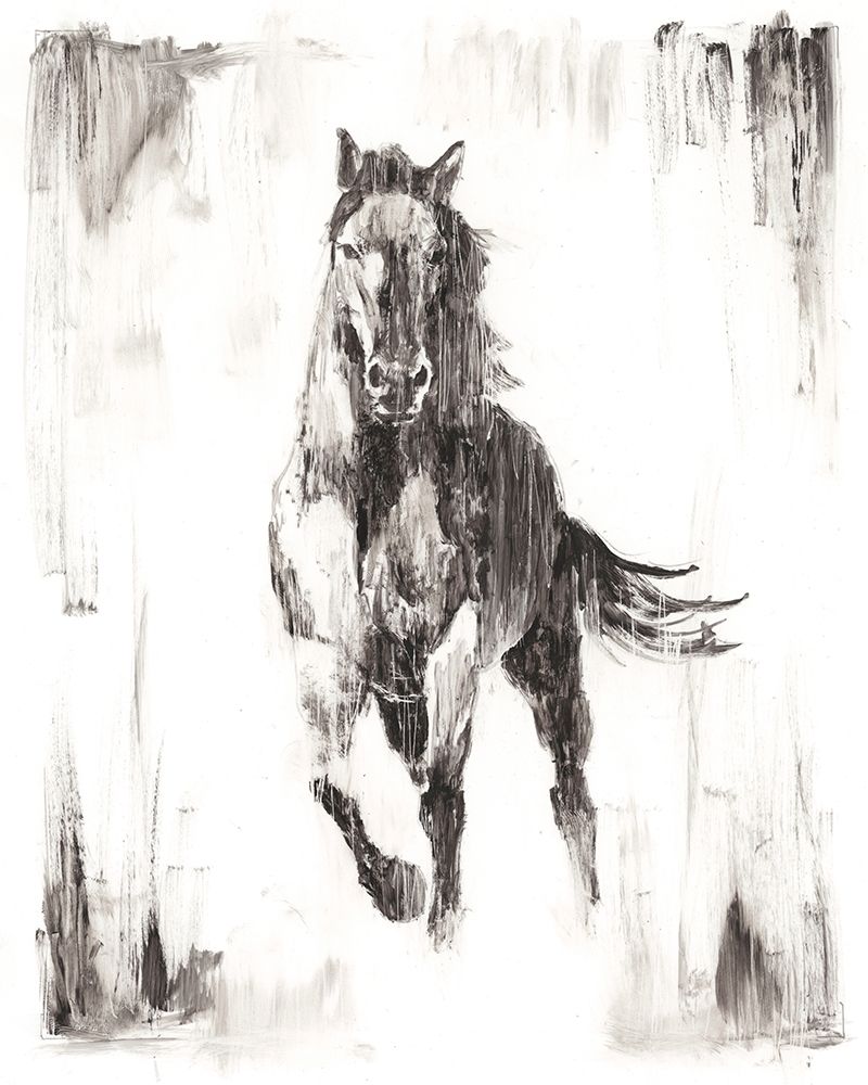 Wall Art Painting id:209181, Name: Rustic Black Stallion II, Artist: Harper, Ethan