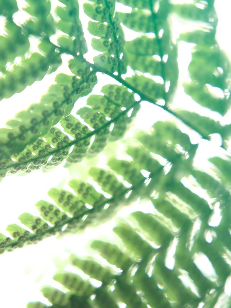 Similar wall art painting: 196179